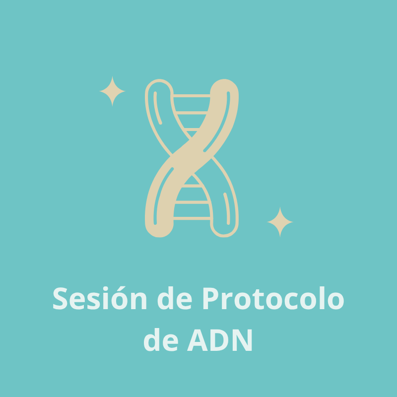 Sesión de Protocolo de ADN